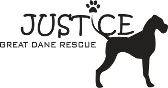 Justice Great Dane Rescue