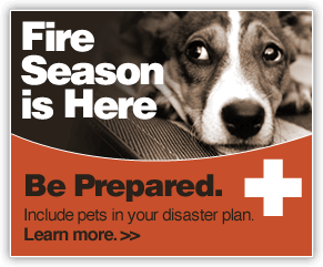 3 Fire Season